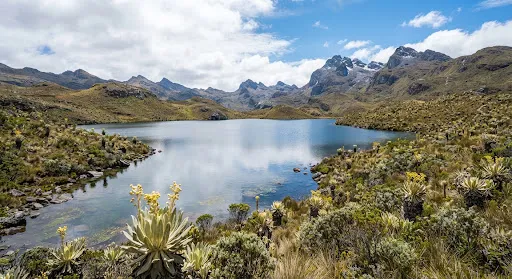 Humedal andino con una laguna, fuente de agua de las cuencas hidrográficas